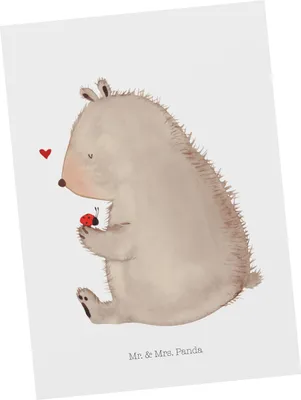 Produktbild von Mr. & Mrs. Panda Ansichtskarte Bär Marienkäfer - Weiß - Geschenk, Ansichtskarten, Liebe, bildkarte, Postkarte, Fotokarte, Teddy, Postkarten, Motivation, Freiheit