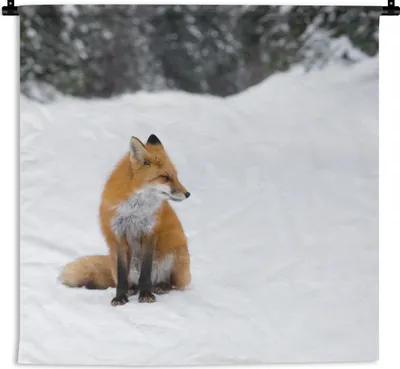 Produktbild von MuchoWow® Wandteppich Wandbehang Fuchs - Schnee - Winter 120x120 cm Tapisserie Dekoration Wandtuch - Modern - Baumwollgewebe
