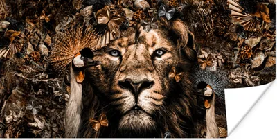 Produktbild von MuchoWow® Poster Tiere - Schmetterling - Löwe 40x20 cm - Poster für die Wand - Poster Schlafzimmer
