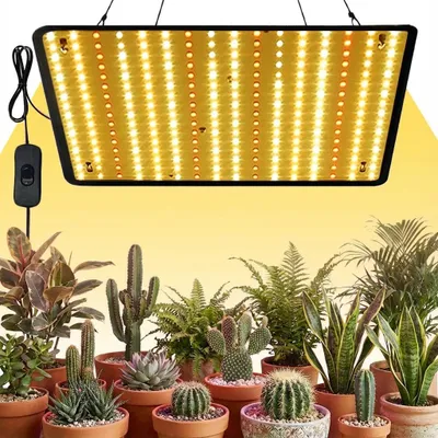 A grow light suspended above a collection of potted plants.