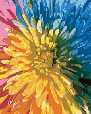 Produktbild von Zuty - Malen nach Zahlen - REGENBOGENBLUME, 40x50 cm, mit Keilrahmen (bereits gespannt)