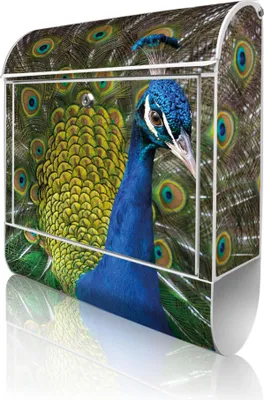 Produktbild von banjado Design Briefkasten Stahl weiß mit Zeitungsfach pulverbeschichtet "Pfau" 38x46x12,5cm & 2 Schlüssel - Postkasten A4 Einwurf inkl. Montagematerial [BKW 10500]