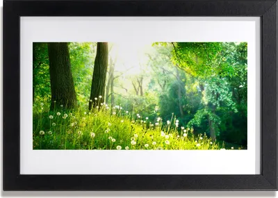 Produktbild von Bild 30x20 MDF-Rahmen Wandkunst Wiese Natur Pflanze