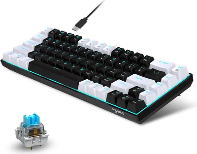 A keyboard and a keyboard switch are shown on a white background.