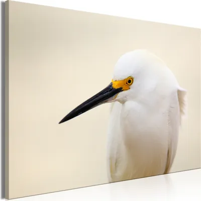 Immagine prodotto di Quadro su tela italiano - Airone bianco (1 parte) Largo 120x80 cm Animali g-B-0222-b-a