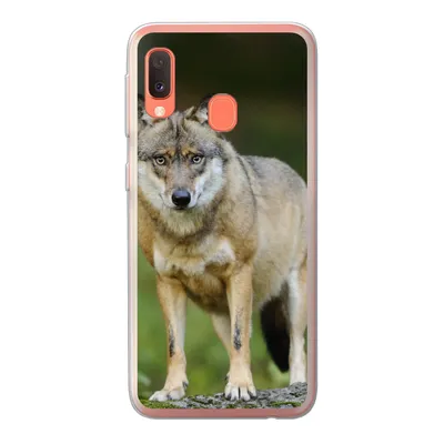 Produktbild von MuchoWow® Handyhülle Schutzhülle Hülle für Samsung Galaxy A20e Wolf - Asien - Pflanzen Silikon Softcase Handy Hülle - Abdeckung