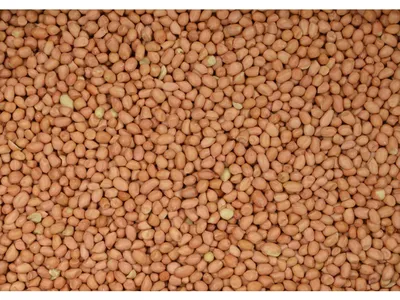 Productafbeelding van Wielink Pinda’s gepeld voor duiven 2,5KG