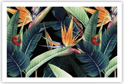 Produktbild von Poster - Poster ohne Rahmen - Pflanze Tropisch Blume - 91,5x61 cm - Wand Bild - Wanddeko - Wandbilder - Kunstposter - Wandposter - Bilder - Kunstdruck - Wanddekoration - Wandbild - P2XAA91x61-5093