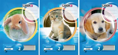 Produktbild von LANDRÉ Schulheft DIN A5 Lineatur 2 / liniert 16 Blatt zufälliges Motiv (1 Stück)