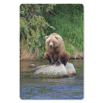 Produktbild von MuchoWow® Mauspad Mousepad Bär - Stein - Tier 18x27 cm - Mousepads - Maus Mat - Pad - Mausunterlage