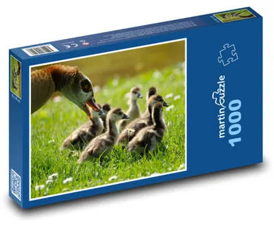 Obrázok produktu pre Puzzle 1000 Husi a ich mláďatá - martinpuzzle
