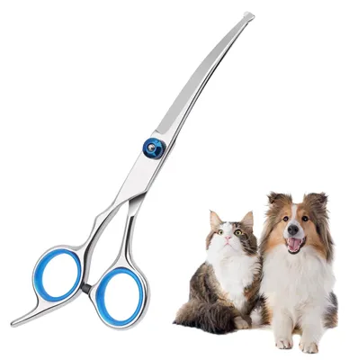 Imagen del producto de Tijeras para perros con punta redonda, de acero inoxidable, para el cuidado del pelaje, 1 unidad. Tijeras de seguridad para perros