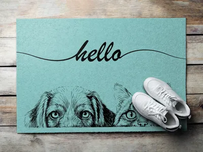 Produktbild von Fußmatte Aussen - Schuhmatte Haustür- Schmutzfangmatte Türvorleger - Outdoor Teppich Schmutzfänger - 60x40 cm - Hallo Hund und Katze