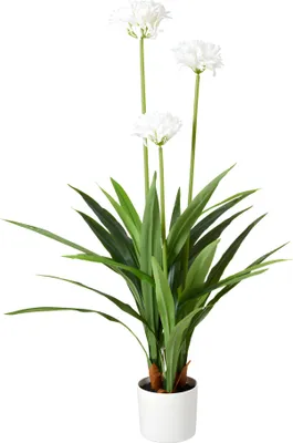 Produktbild von Große künstliche Agapanthus-Blume im Topf, 70 x 120 cm