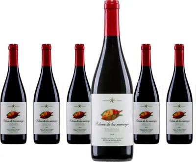 Produktbild von 6 x Finca Míllara Ribera de los naranjos