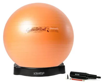 Image de MAXAFE, ballon de gymnastique de 75 cm avec pompe