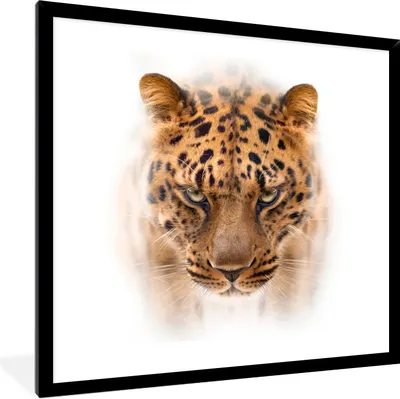 Produktbild von MuchoWow® Gerahmtes Poster Panther - Porträt - Weiß 40x40 cm - Poster mit Schwarzem Bilderrahmen Wandposter Rahmen Foto Bilder - Mit Rahmen - Wanddekoration Schlafzimmer