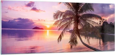 Produktbild von Bilder auf glas - Strand Meer Palme - 100x40cm - Glasbilder - Wandbilder - Kunstdruck - zum Aufhängen bereit - Wanddekoration aus Glas - Glas Bilder - Wandbild auf Glas - Einteilig - GAB100x40-3912