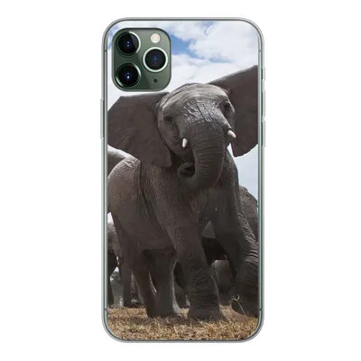 Produktbild von MuchoWow® Handyhülle Schutzhülle Hülle für iPhone 11 Pro Max Elefant - Tiere - Natur - Flachland Silikon Softcase Handy Hülle - Schutz