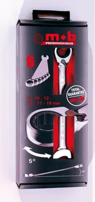 Produktbild von Ring-Ratschenschlüsselsatz 6-teilig 8-19mm - im Displaykarton, 9002000301