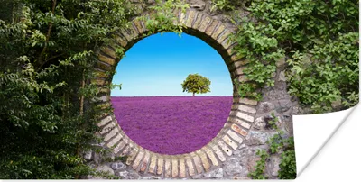 Produktbild von MuchoWow® Poster Lavendel - Ausblick - Blumen - Sommer 150x75 cm - ohne Rahmen