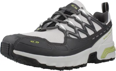 Produktbild von SALOMON ACS GTX SAT Grau