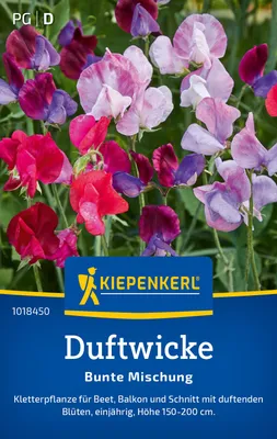 Produktbild von Kiepenkerl Duftwickensamen Bunte Mischung Lathyrus odoratus 25 Pflanzen