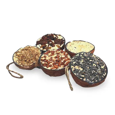 Produktbild von 10 Stk. Lyra Pet®  Halbe Kokosnuss gefüllt mit Topping