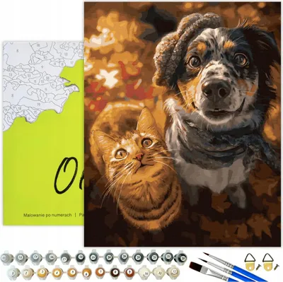 Produktbild von Malen nach Zahlen Erwachsene & Kinder Tiere Herbst Katze Hund 50x40 - 31 Acrylfarben, Leinwand mit Holzrahmen, 3 Pinseln und Zubehör Oh Art!