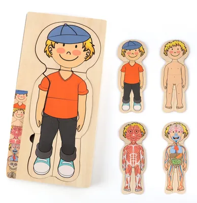 Image de Puzzle en bois représentant le corps humain, composé de 29 pièces - Jouet éducatif pour enfants