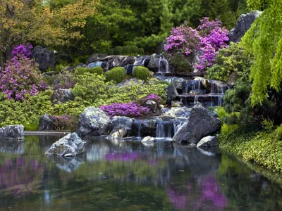 Immagine prodotto di Sanders & Sanders Carta da parati a cascata verde e viola - 600346 - 180 x 127 cm