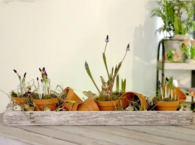 Produktbild von Mini Tontöpfe Dekoration Ø3,5cm H3cm 10 Stück Terrakotta