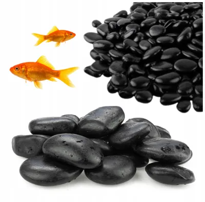 Image de Gravier d'aquarium, noir brillant, 1 kg, granulométrie 3-8 cm