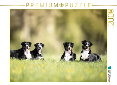 Produktbild von CALVENDO Puzzle Wir sind ein Team | 2000 Teile Lege-Größe 90x67cm Foto-Puzzle für glückliche Stunden