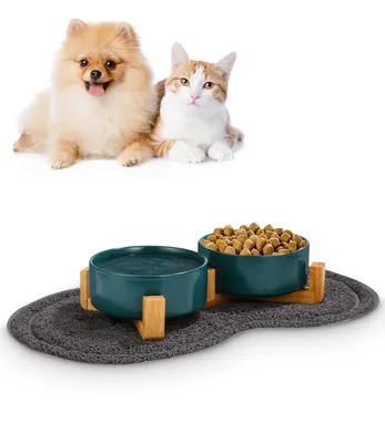 A Pomeranian dog and a cat are shown lying down above a set of pet bowls filled with water and kibble, placed on an anti-slip mat.
