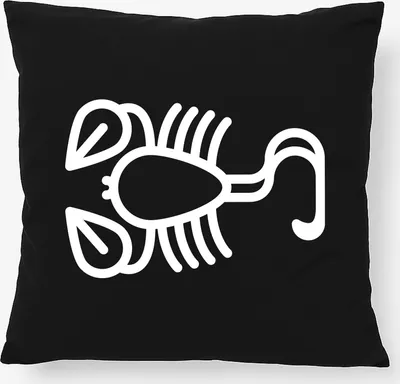 Produktbild von Huuraa Kissen Skorpion Sternzeichen Symbol 40x40cm mit Füllung Black Baumwolle Dekokissen Geschenkidee