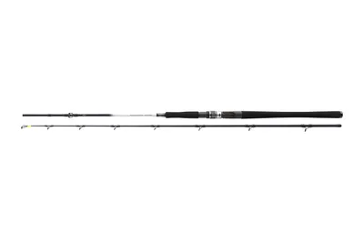 Productafbeelding van Daiwa Steckhengel Grandwave BC, 2,25 meter, 15-25 lbs
