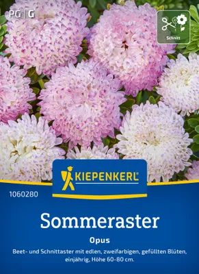 Artikelbild 2 von 'Sommeraster Opus' aus der Kategorie Asternsamen