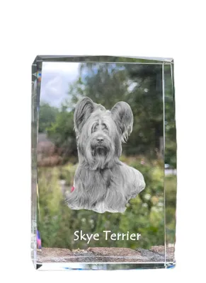 Obrázek produktu pro Silky teriér krystal s psem Art-Dog
