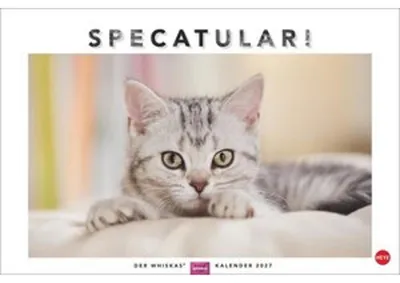 Obrázok produktu pre Kalendár Whiskas pre mačky 2027