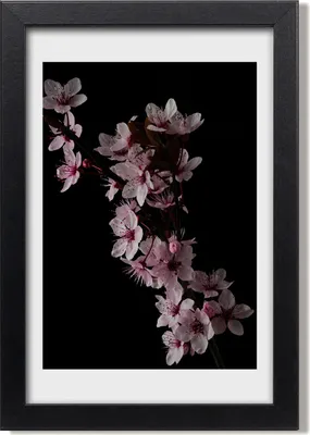 Produktbild von Bild 20x30 MDF-Rahmen, Wandkunst Kirschblüten