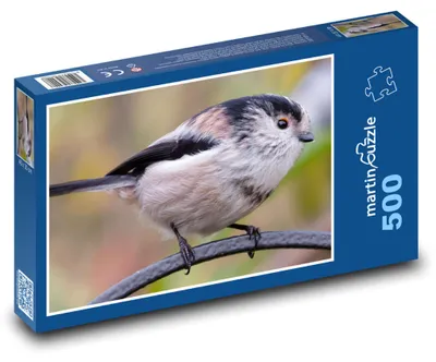Zdjęcie produktu dla Puzzle 500 Ptak na gałęzi - martinpuzzle