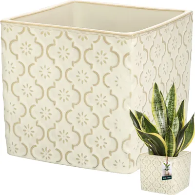 A square ceramic planter with a vintage cream finish and a decorative pattern, shown with a snake plant inside a smaller version of the same planter.