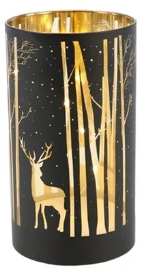 Produktbild von HBX Natural Living Laterne Magischer Wald LED 3XAA H12cm