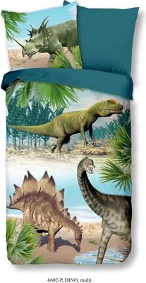 Produktbild von Good Morning Renforcé  Bettwäsche 135 X 200 cm + 1 x 80 X 80 cm Dino bunt