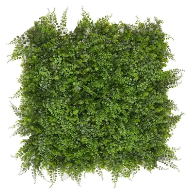 Image de Mur de fougères – Jardin vertical – 50 x 50 cm – rapide à installer et modulable – Brise-vue – Panneaux muraux – Plante artificielle