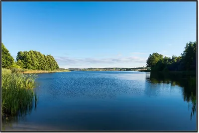 Produktbild von Wallario Wandbild Malerischer See mit Schilf unter blauem Himmel, Größe: 61 x 91,50 cm, Poster mit schwarzem Aluminiumrahmen