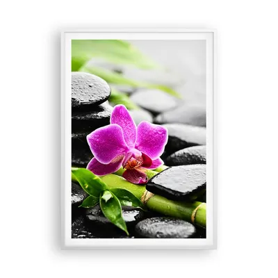 Produktbild von Gerahmtes Poster - Weißer Rahmen - Pflanze Steine Bambus Spa - 70x100 cm - Wand Bild - Wanddeko - Wandbilder - Wandposter - Bilderrahmen - Bilder - Kunstdruck - Wandbild - P2WPA70x100-2681