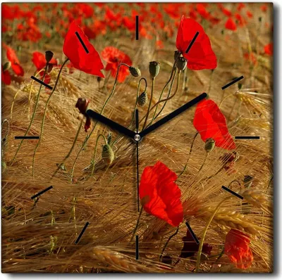Produktbild von Coloray Uhr auf Leinwand 30x30 cm Wand Uhr Dekoration Wohnzimmer Segeltuch schwarze Hände -Maki Blumenfeld.