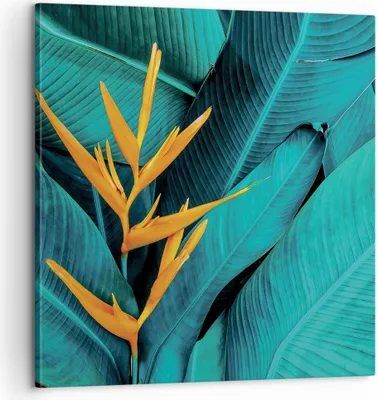 Produktbild von Bild auf Leinwand - Leinwandbild - Einteilig - Blumen Tropen Blätter - 60x60cm - Wand Bild - Wanddeko - Wandbilder - Leinwanddruck - Bilder - Wanddekoration - Leinwand bilder - Wandbild - AC60x60-5116